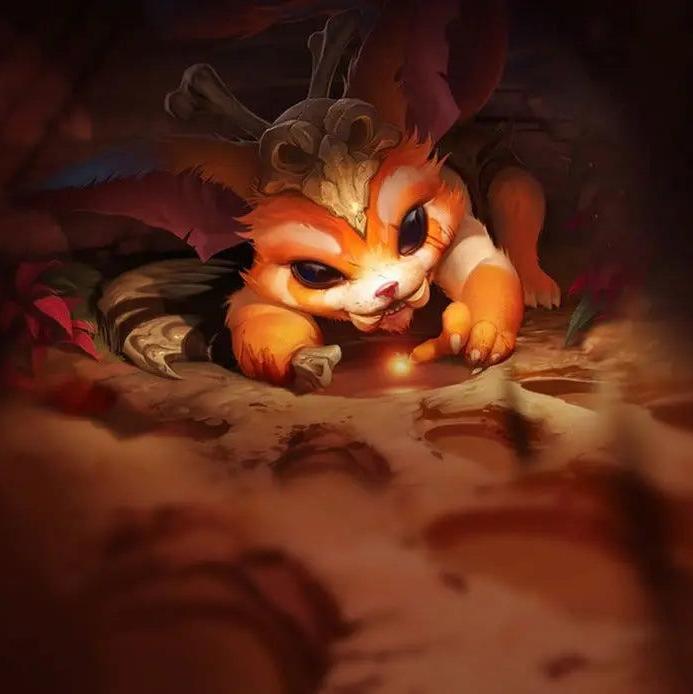 Gnar Lol Shop